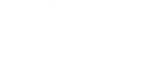 X Dynamics